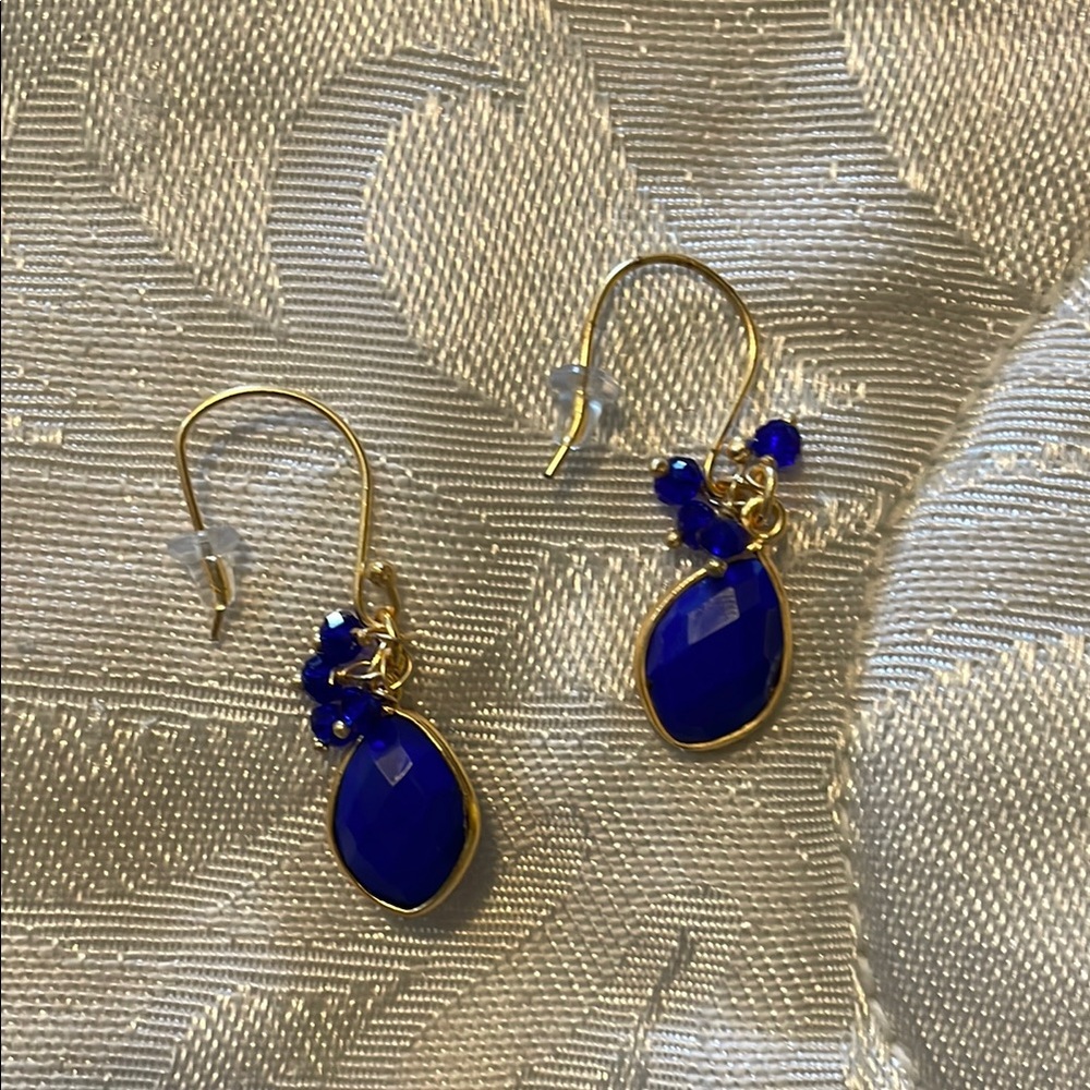 Elegant Blue and Gold Earrings